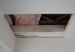 CEILING ACCESS TO PLUMBING